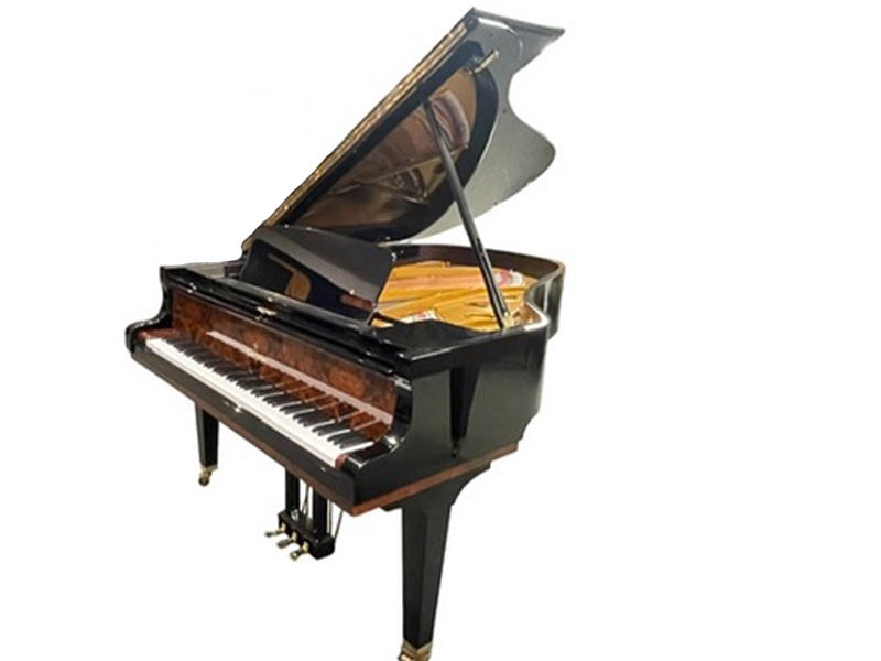 Sauter-2-tone (1).png